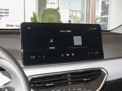2022款 维果系列 葡萄C550 