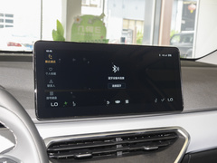 2022款 维果系列 葡萄C550 