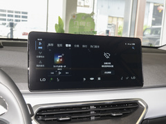 2022款 维果系列 葡萄C550 