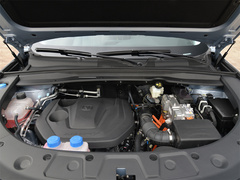 2022款 蓝鲸iDD 130km 1.5T 卓越型