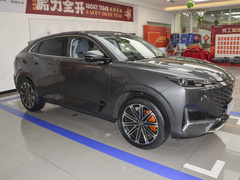 2022款 蓝鲸iDD 130km 1.5T 尊贵型