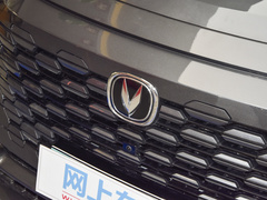 2022款 蓝鲸iDD 130km 1.5T 尊贵型