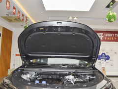 2022款 蓝鲸iDD 130km 1.5T 尊贵型