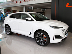 2022款 蓝鲸iDD 130km 1.5T 尊贵型