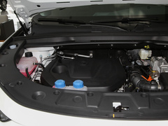 2022款 蓝鲸iDD 130km 1.5T 尊贵型