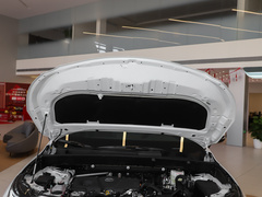 2022款 双擎 2.5L CVT两驱尊贵版