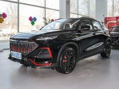 2022款 1.5T DCT虎啸限定版