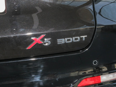 2022款 1.5T DCT虎啸限定版