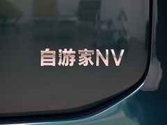 2022款  纯电标准续航版
