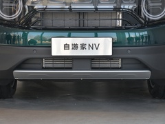 2022款  纯电标准续航版