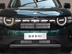 2022款  纯电标准续航版