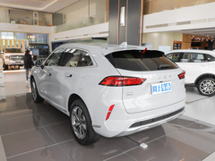2022款 1.5T 0焦慮性能版