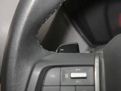 2022款 1.6T 耀不凡 虎年开门红版