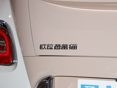 2022款 401km 爱丽丝版