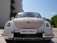 2022款 401km 爱丽丝版