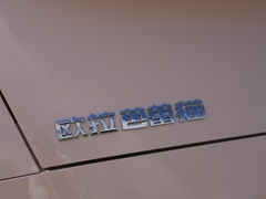 2022款 401km 爱丽丝版