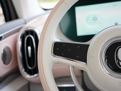2022款 401km 爱丽丝版