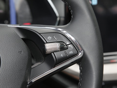 2022款 PRO TSI280 奢享版