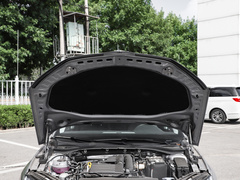 2022款 TSI280 DSG尊享版