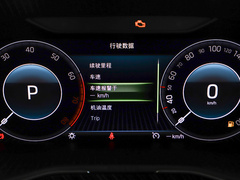 2022款 TSI330 DSG奢享版