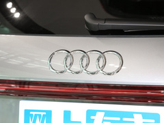 2022款 50 e-tron quattro 荣耀型 锦衣套装