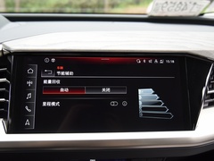 2022款 50 e-tron quattro 荣耀型 锦衣套装