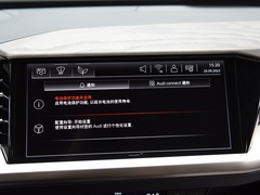 2022款 50 e-tron quattro 荣耀型 锦衣套装