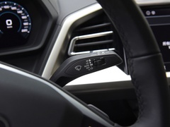 2022款 50 e-tron quattro 荣耀型 锦衣套装