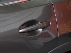 2022款 2.0L 自动两驱智尚型