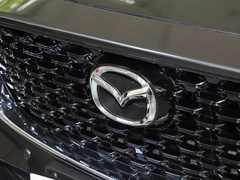 2022款 2.0L 自动两驱智尚型