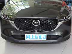 2022款 2.0L 自动两驱智尚型
