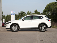 2022款 2.0L 自动两驱智雅型