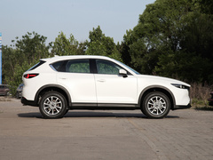 2022款 2.0L 自动两驱智雅型