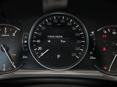 2022款 2.0L 自动两驱智雅型