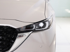 2022款 2.5L 自动两驱智尊型