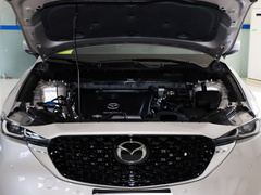2022款 2.5L 自动两驱智尊型