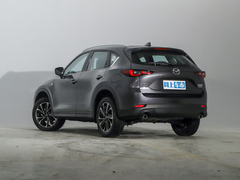 2022款 2.5L 自动四驱尊耀型