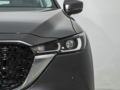 2022款 2.5L 自动四驱尊耀型