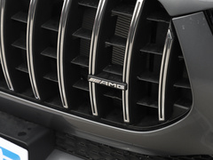 2022款 AMG GLE 53 4MATIC+