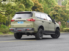 2022款 2.0T 柴油四驱亚马逊版 5座