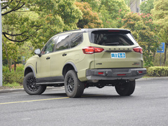 2022款 2.0T 柴油四驱亚马逊版 5座