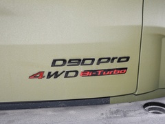 2022款 2.0T 柴油四驱亚马逊版 5座