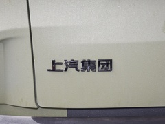 2022款 2.0T 柴油四驱亚马逊版 5座