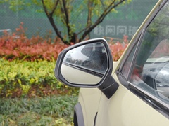 2022款 2.0T 柴油四驱亚马逊版 5座