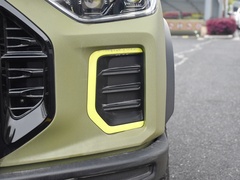 2022款 2.0T 柴油四驱亚马逊版 5座