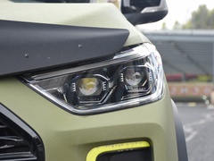 2022款 2.0T 柴油四驱亚马逊版 5座