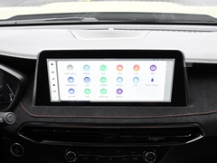 2022款 2.0T 柴油四驱亚马逊版 5座