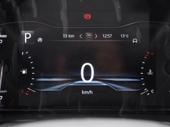 2022款 2.0T 柴油四驱亚马逊版 5座