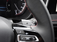 2022款 2.0T 柴油四驱亚马逊版 5座