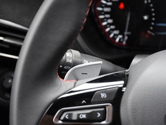 2022款 2.0T 柴油四驱亚马逊版 5座